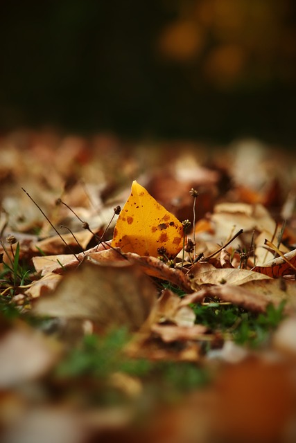 似乎在不断 似乎在不断