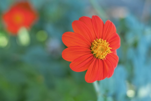 整的真准 整的真准