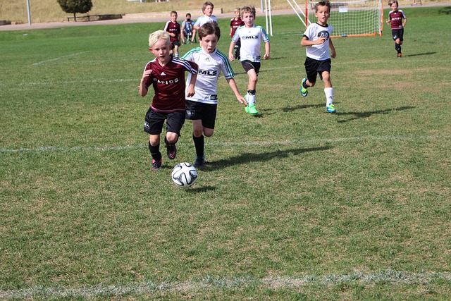 不可小觑 不可小觑