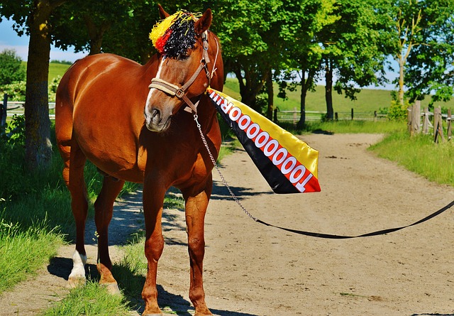 于赛车的性 于赛车的性