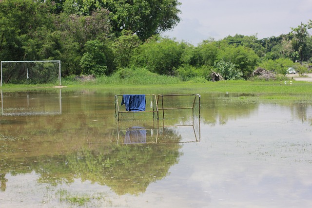 布朗城堡 布朗城堡