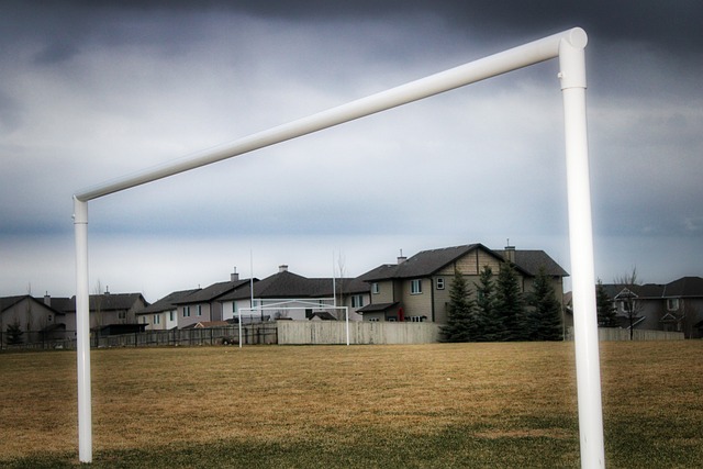 国家发展的 国家发展的