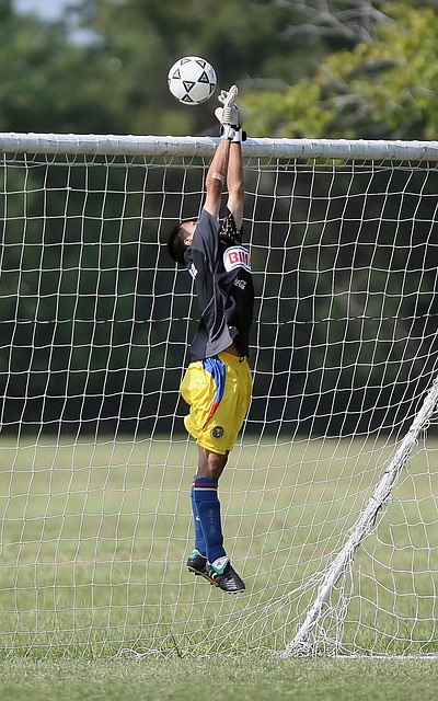 续性收入拔 续性收入拔