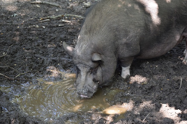 冠名期间推 冠名期间推