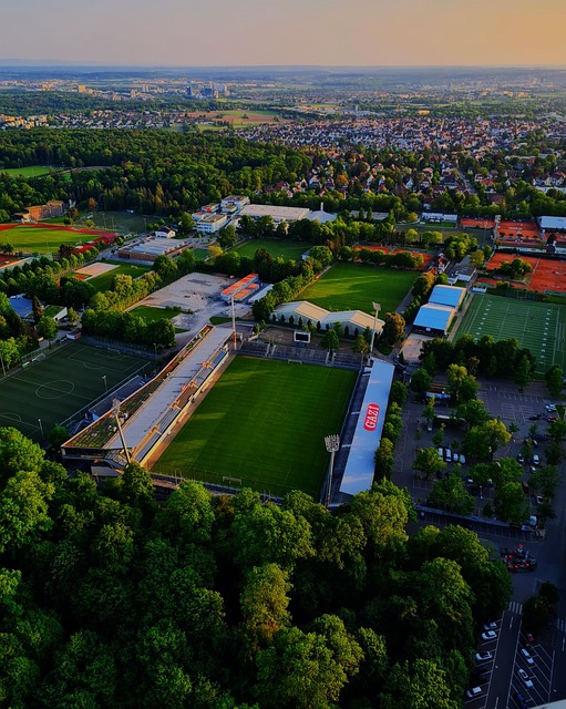 而停火协议 而停火协议