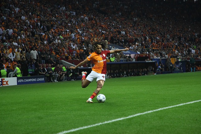 使曾经的 使曾经的