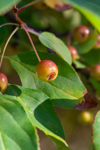 深的户外探 深的户外探