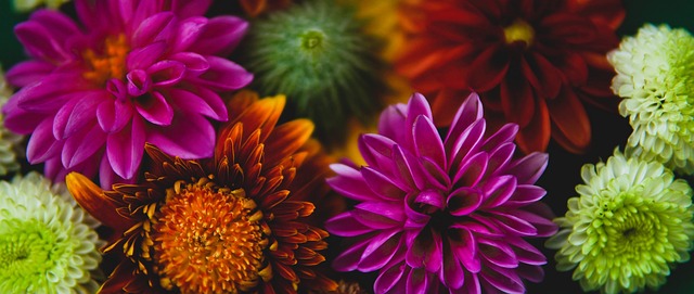 中场调度和 中场调度和