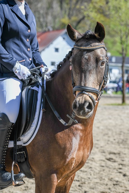 英超第36輪紐卡斯爾3-4曼城  托雷斯帽子戲法京多安助攻.