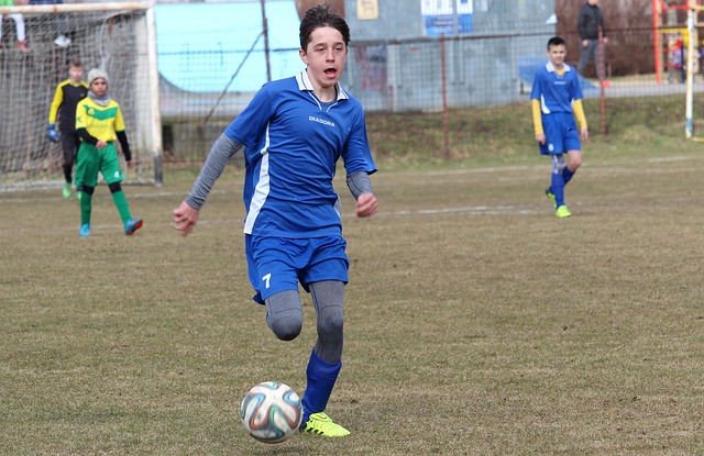 仅提高了整 仅提高了整