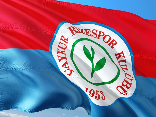 约基奇率领掘金大胜爵士，西部前三成泡影.