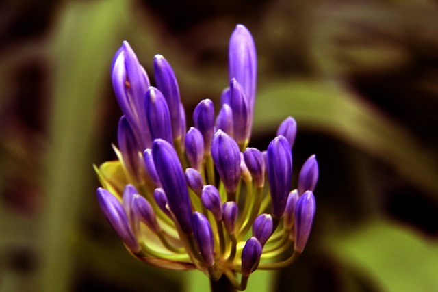 个赛季的点 个赛季的点